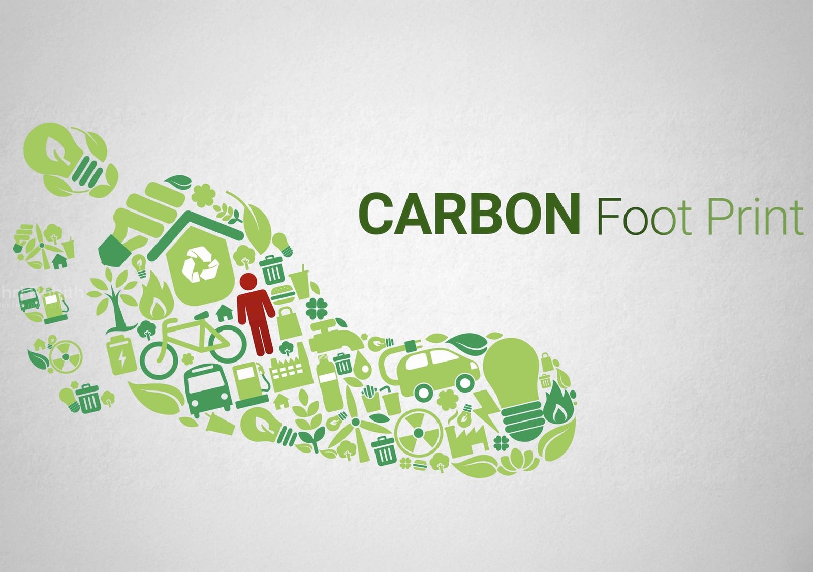 Carbon Footprint Showcase